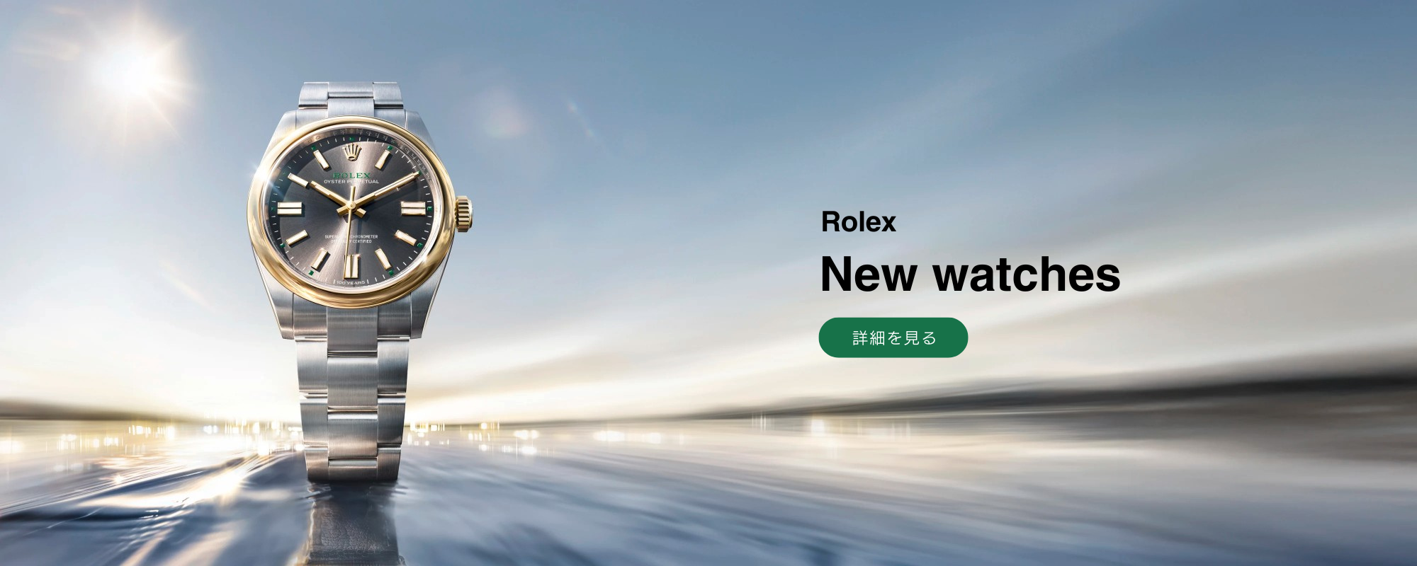 ROLEX watch banner