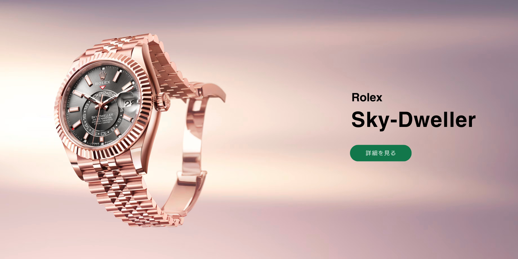 ROLEX watch banner