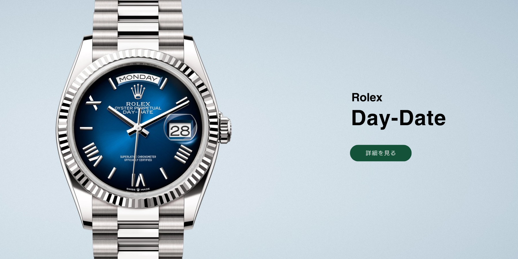 ROLEX watch banner