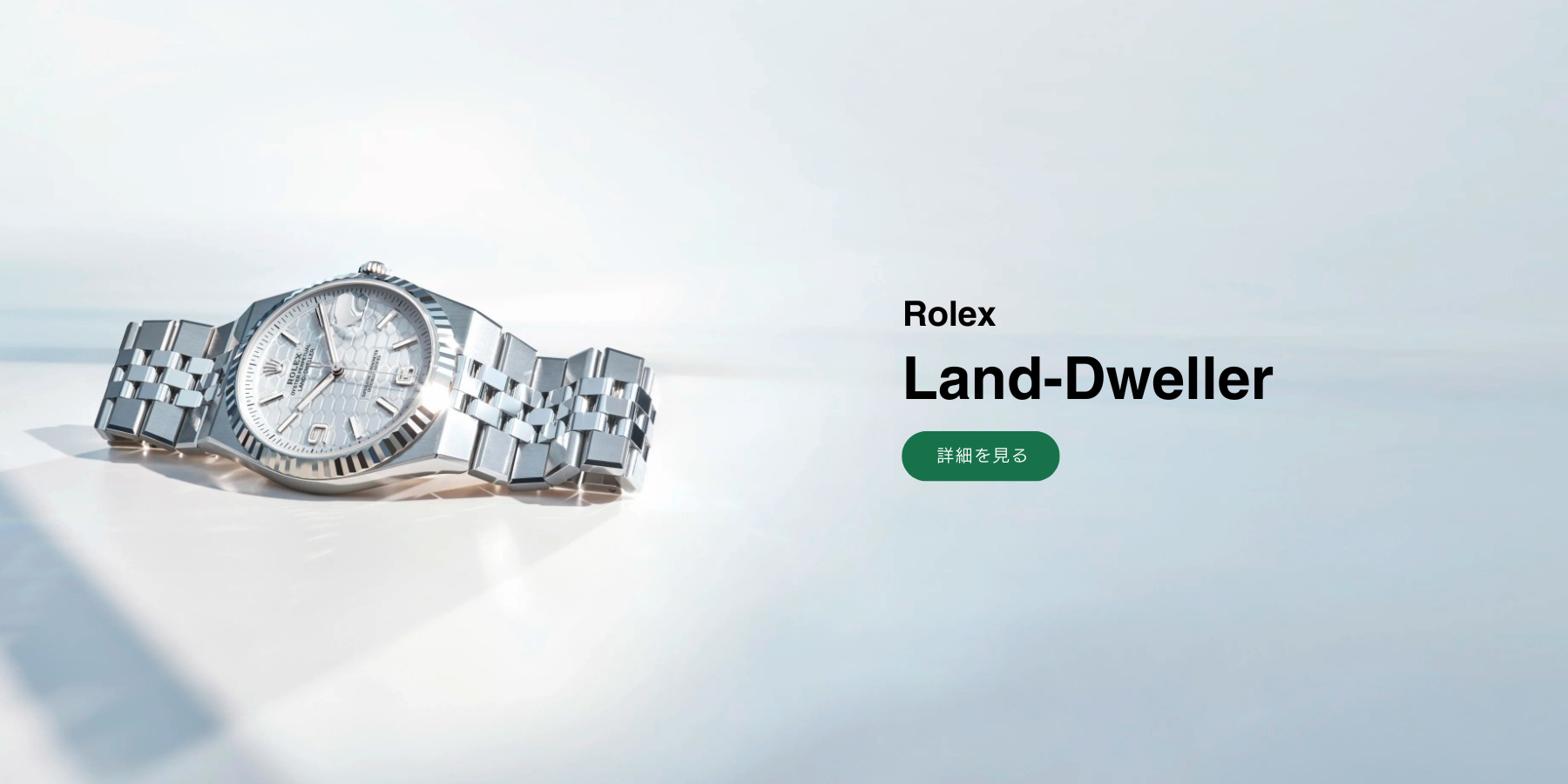 ROLEX watch banner