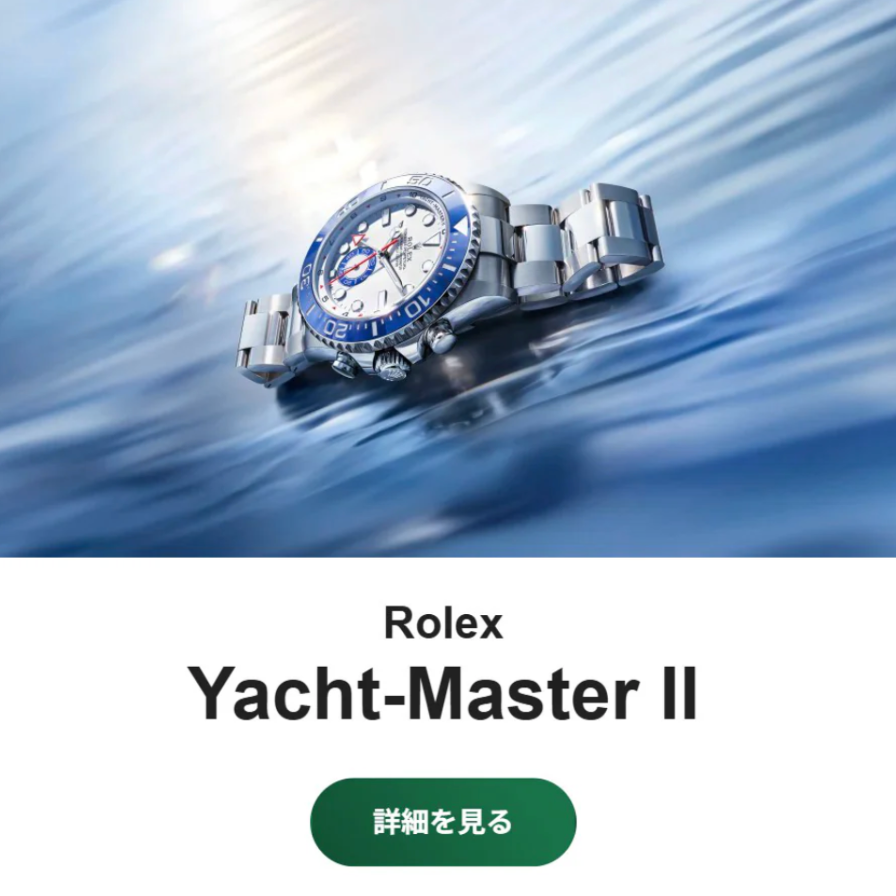 ROLEX watch banner