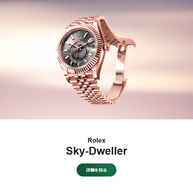 ROLEX watch banner