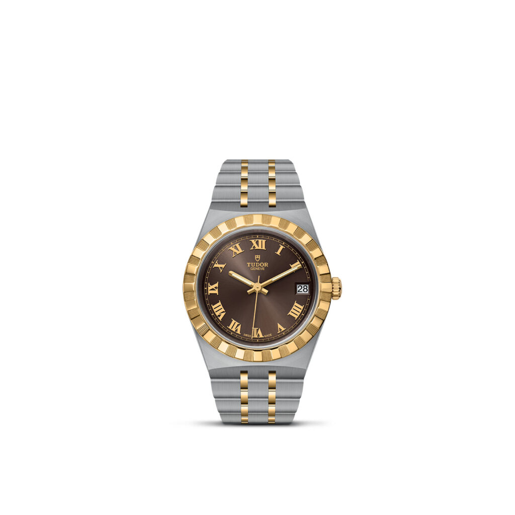 保護中: TUDOR ROYAL/M28403-0008