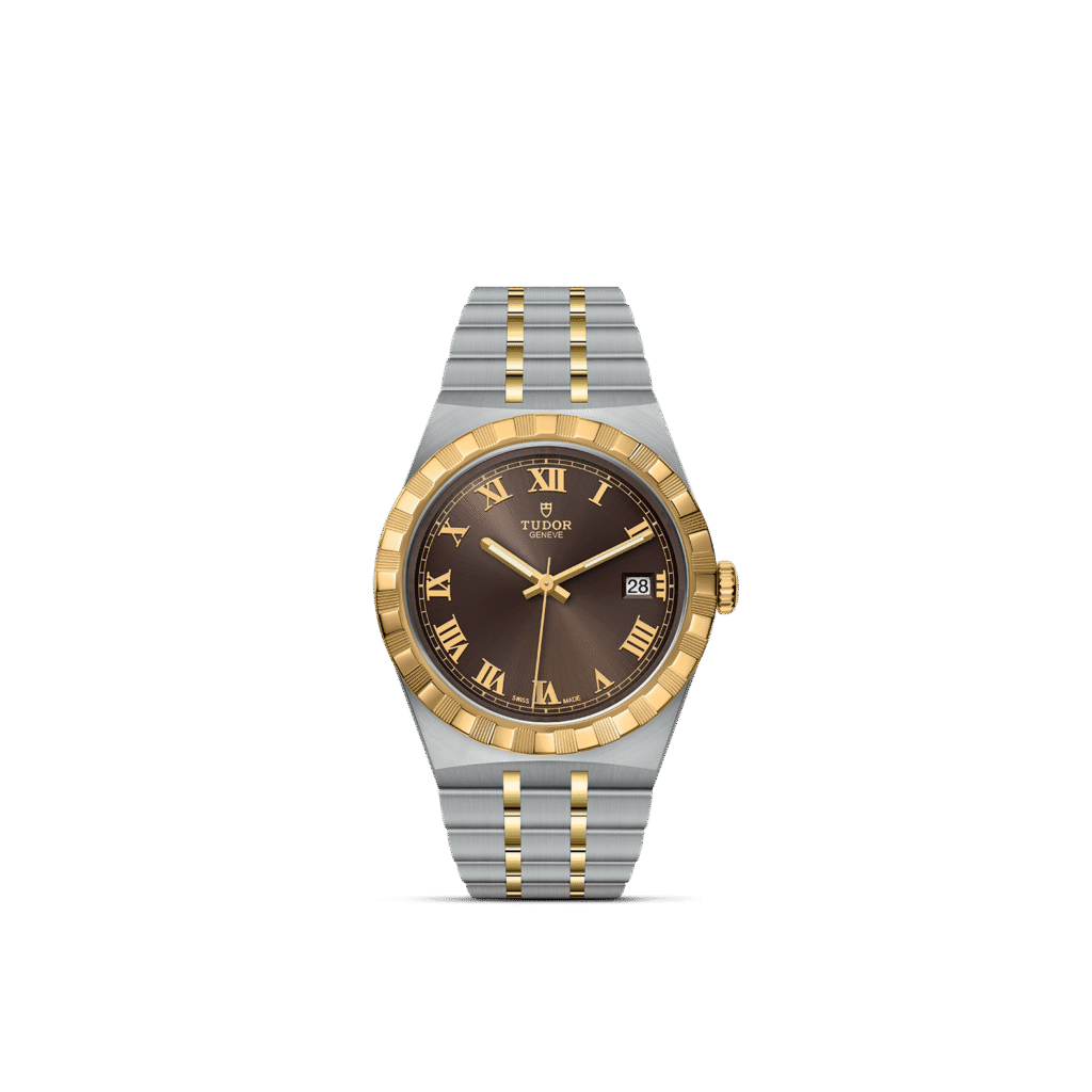 保護中: TUDOR ROYAL/M28503-0007