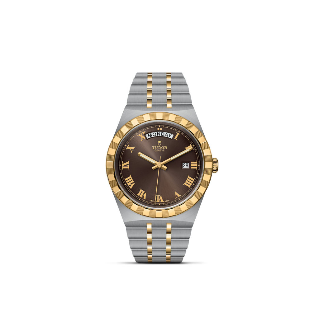 保護中: TUDOR ROYAL/M28603-0007
