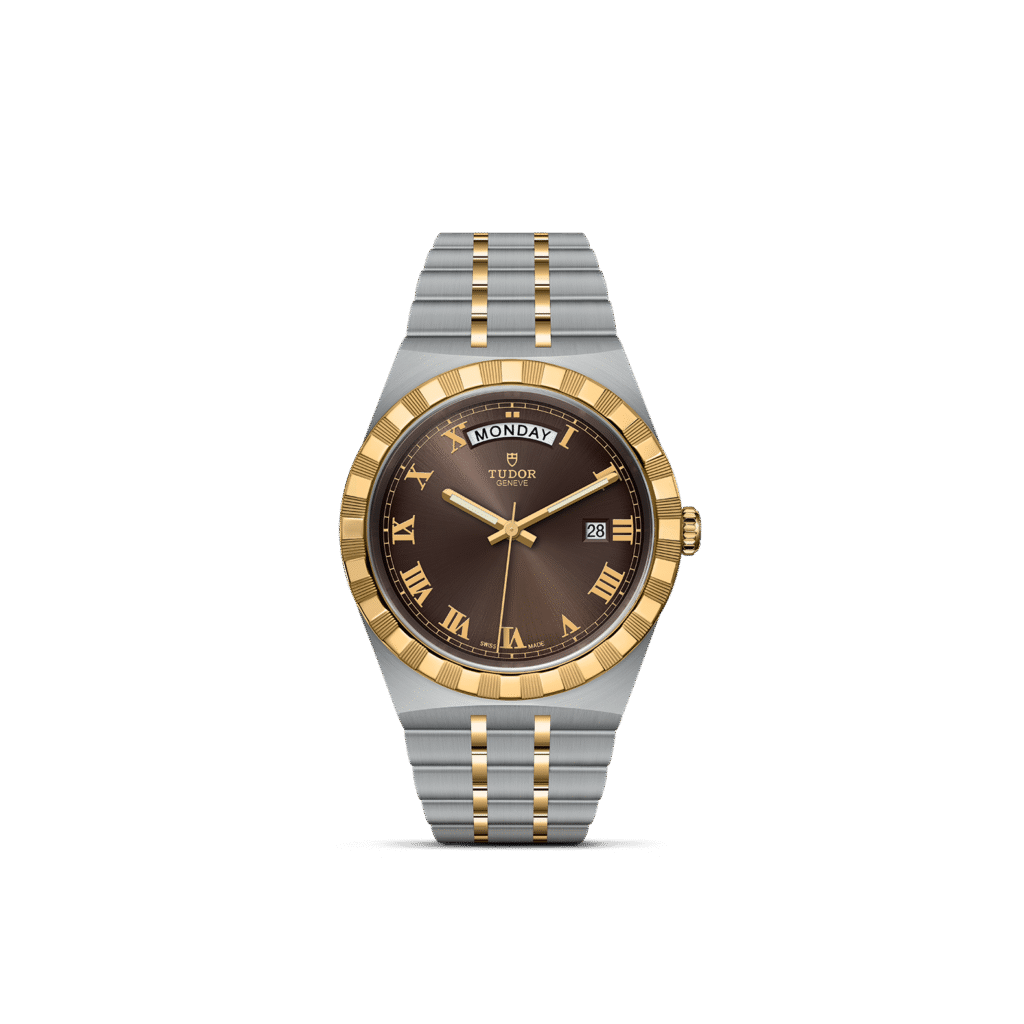 保護中: TUDOR ROYAL/M28603-0007