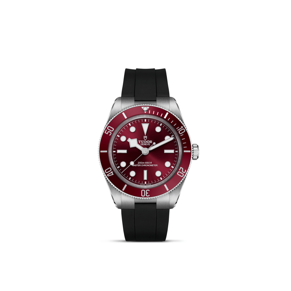 保護中: BLACK BAY 58/M7939A1A0RU-0003