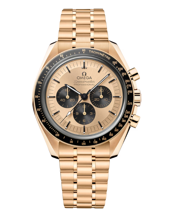 OMEGA 310.60.42.50.99.002 メイン