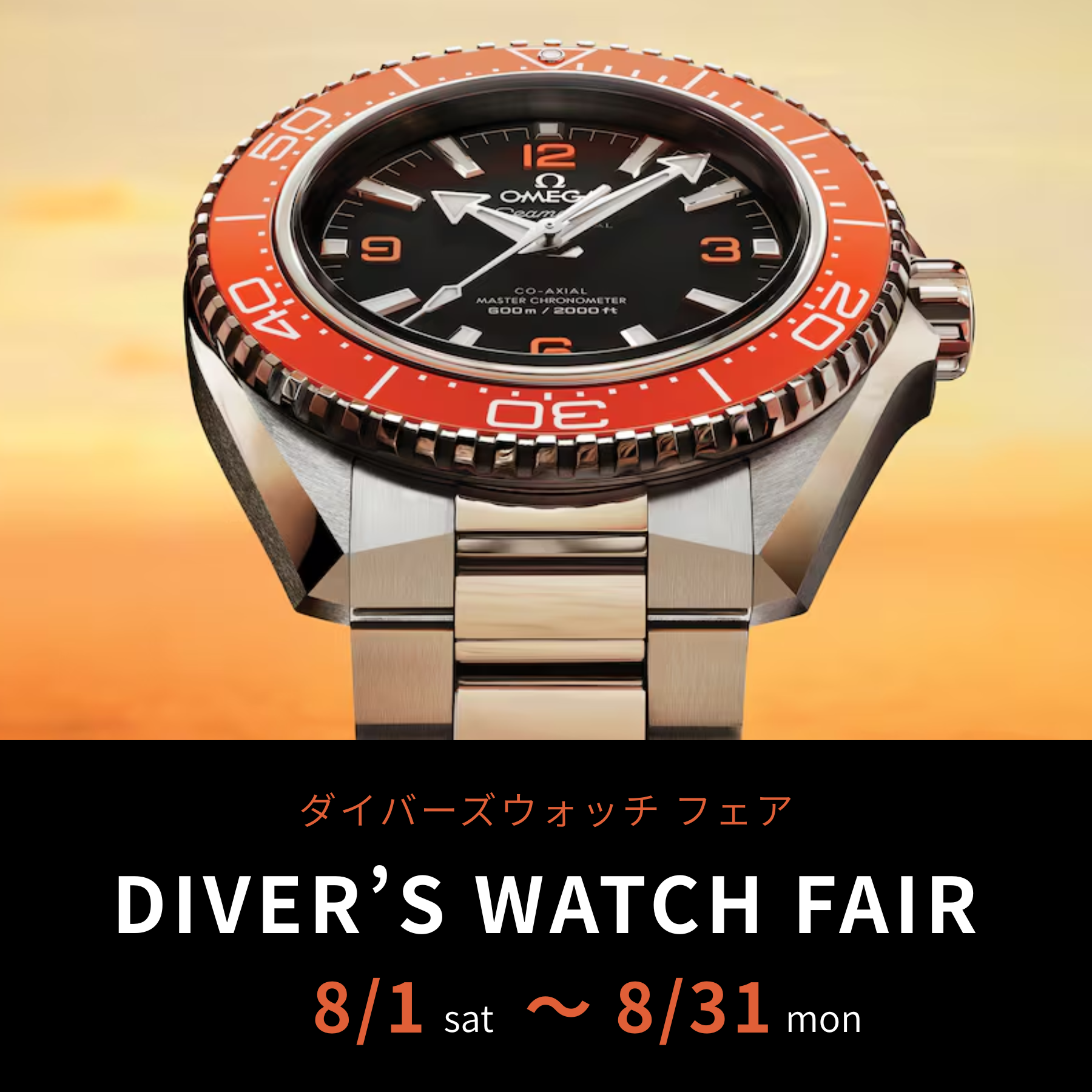 diver'sCP_202608
